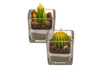 Autres jeux créatifs Totalcadeau 2 bougies en forme de cactus pots décoratifs en verre