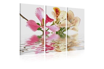 tableau - orchid with colorful spots - 90x60 (7241)
