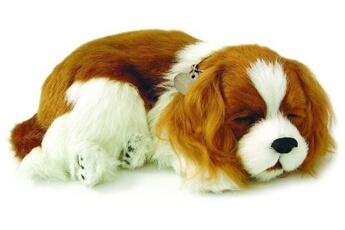 - 4905 - peluche - chien epagneul cavalier king charles