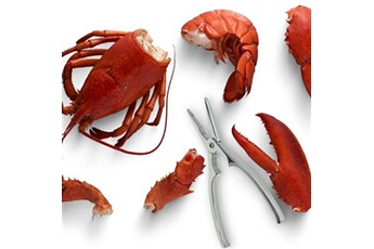 pince crabe en bois 17,5 cm