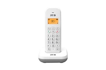 Téléphone sans fil Doro PhoneEasy 110 parlant avec écran rétro-éclairé