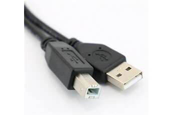 Ineck - INECK® Câble Imprimante USB 2.0 A Mâle vers USB B Mâle Câble  Printer Scanner Imprimante pour Canon MG5750 HP ENVY 4520 HP deskjet 3720  Epson XP245 Brother DCP-L2520DW (3 M) 