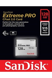 Sandisk Carte mémoire Compact Flash 256 Mo 47260 : : Informatique