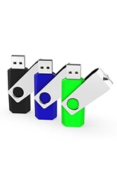 Clé USB RAOYI Lot de 20 Clé USB 1 Go Memory Stick USB 2.0 Flash Drive Noir  Pen Drive Métal Pivotant