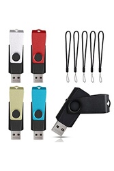 Datarm Clés USB 2Go Lot de 5 Clef USB 2.0 Métal Mémoire Flash Sticks Noir - Clé  USB - Achat & prix
