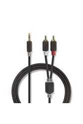 Câblage et connectique GENERIQUE CONECTICPLUS Câble Jack 3.5mm Mâle Vers 2  Rca Femelle 0.20m