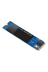 WD Blue SA510 WDS250G3B0B - SSD - 250 Go - interne - M.2 2280