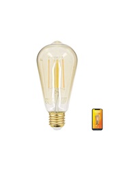 Ampoule LED connectée Kozii, flamme, culot E14, conso 6W, multi-blancs  (2700-6500K), 400 LM, angle 180°
