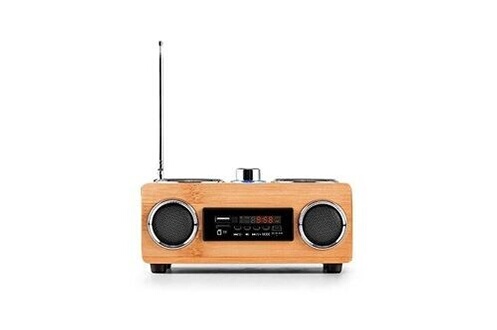 marque generique - Radio FM Enceinte portable sans fil Bluetooth