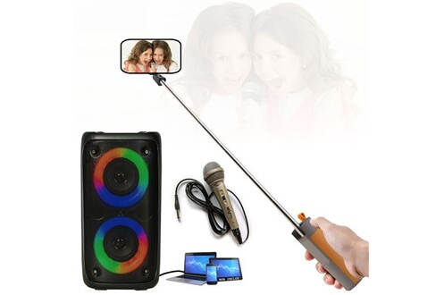 Enceintes, baffle et amplis DJ Party Light & Sound Enceinte mobile  Enfant Karaoke USB Bluetooth sur Batterie PARTY LEO-250 - Micro - Enceinte  Perche Selfie Cadeau - Soirée Boum