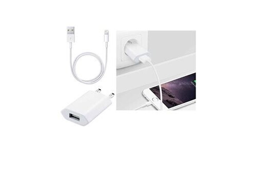 Chargeur pour téléphone mobile iPomcase Chargeur secteur compatible pour iphone  11 + câble lightning
