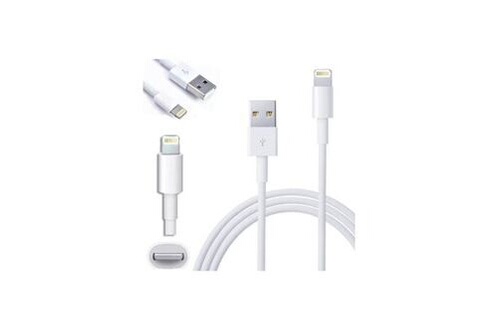 Acheter Câble Usb pour câble iphone 11 pro max Xs Xr X SE 2 8 7 6 plus 6s  5s ipad air mini 4 câbles de charge rapide pour chargeur iphone