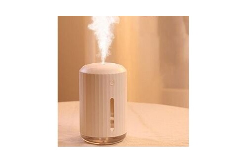 Mini humidificateur portatif, petit d'air d'usb d'atomiseur de brume pour  le bureau à domicile - rose