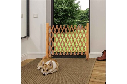 Porte barrière et rampe pour chien ProBache Barrière extensible bois  treillis 30 à 150 cm