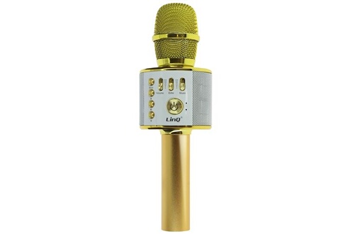 Lecteur Karaoké Linq Micro Karaoké Sans fil Bluetooth avec Haut parleur 5W  Autonomie 8H doré