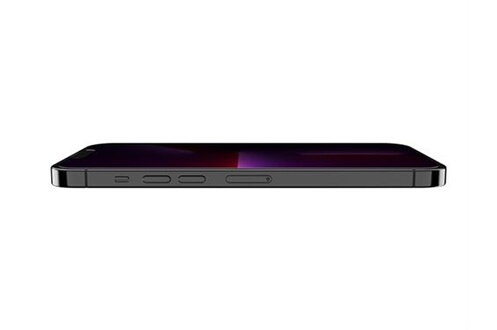 Protection d'écran pour iPhone 13 Pro Max - Confidentialité