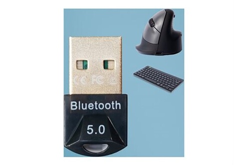 Autres accessoires informatiques R-Go Tools R-Go - Récepteur pour clavier/ souris sans fil - USB, Bluetooth 5.0
