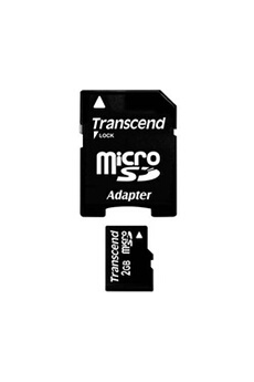 Transcend Go Carte Mémoire 2GB : : Informatique