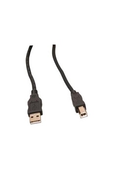 Cables USB GENERIQUE CABLING® 3M Câble d'Imprimante USB A-B (Canon  Printer Cable) pour TOUS Canon Imprimantes