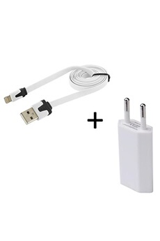 Chargeur pour téléphone mobile FG-Mobile Câble Lightning vers USB Blanc 1 m  Pour Apple iPhone SE