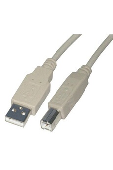 Câble Imprimante USB 2.0 A Mâle vers USB B Mâle Câble Scanner Cordon  Imprimante Type B Compatible avec Imprimante HP, Canon, Epson, Lexmark,  Brother, Hero (1.5M)