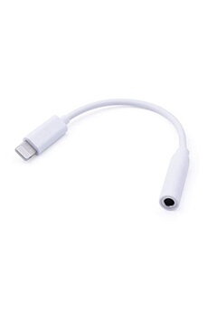 We - WE Câble Audio Auxiliaire pour iPhone 3,5 mm Cordon de Voiture Câble  vers 3,5 mm Adaptateur pour iPhone/iPad/iPod Lien vers des  Ecouteurs/Voiture/Haut-parleurs Prise en Charge de Tous Les iOS,1M -Noir 