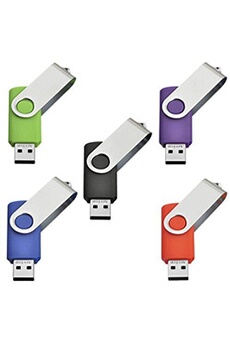 Lot de 5 Clé USB 4Go Flash Drive 2.0 Mémoire Stick Stockage Pivotantes Porte Clef USB U Disque 5 Couleurs Mélangées (4Go)