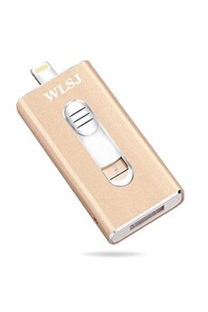 Clé USB à mémoire Flash 32 Go, Wolongshiji 3encrypted USB 3 en 1 Pen Drive Stockage Externe Compatible pour iPhone iPad iOS Android