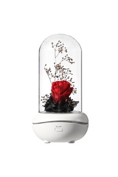 led usb romantique fleur eternelle aroma lamp ambiance colorée rose lampe de mariage jjzm1062