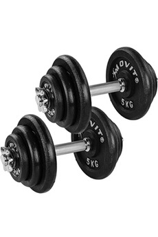 SPORTNOW Set de 2 haltères ensemble musculation 4 disques poids réglables  et boîte de rangement gym fitness 2 x 10 kg gris