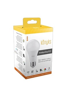 Ampoules connectées GENERIQUE Pack de 2 Ampoule connectée LED Girier E14  WiFi 4W compatible Google Home