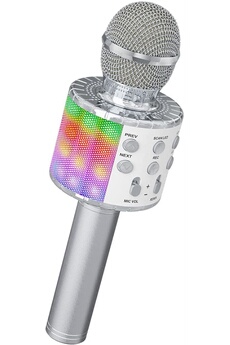 Micro Karaoke, Karaoke Adulte Portable Pa Speaker System Avec Microphone  Karaoke 2 Microphone Sans Fil Pour Réunion De Famill[H100] - Cdiscount TV  Son Photo