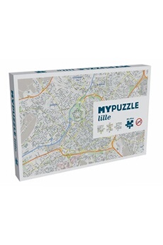 puzzle lille 1000 pièces