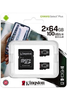 Kingston Carte Mémoire Endurance Micro SD Class 10 128GB Blanc