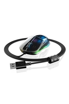 9€05 sur TYPE C rechargeable sans fil LED optique ergonomique 2.4G USB  Gaming Souris - Souris - Achat & prix