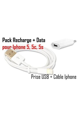 Cables USB GENERIQUE CABLING® iPhone 5 - Mini Chargeur secteur