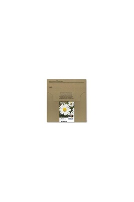 Epson 29 Multipack - pack de 4 - noir, jaune, cyan, magenta