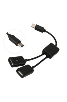 Hub USB Non renseigné USB 3.1 Type C USB-C double 2 Adaptateur