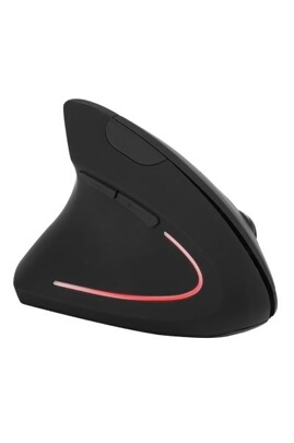 Souris sans fil sans fil à 2,4 GHz souris sans fil souris optique pour  ordinateur portable PC