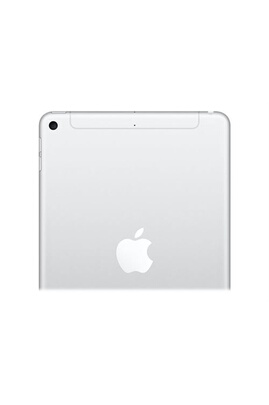 Apple iPad mini 5 256 Go Wi-Fi + 4G - Fiche technique 