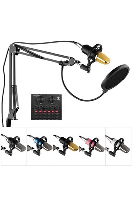 Microphone Andoer Kit de Microphone à condensateur d'enregistrement de  studio professionnelle Micro tête plate avec carte son externe-Noir + Or