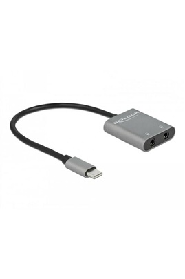 Adaptateur et convertisseur DELOCK : Adaptateur USB-C vers 2 x stéréo Jack  3,5 mm