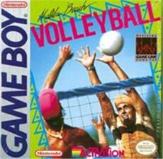 Malibu Beach Volleyball