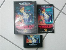 Wonder Boy in Monster World