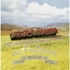 Super Train Klaxon 12V 110±5DB pour Camions SUV Super Train Klaxon 12V 110±5DB pour Camions SUV