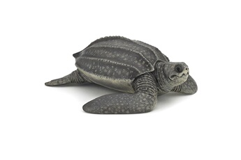 Figurine pour enfant Papo Figurine tortue luth