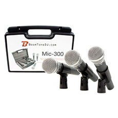 Micro MIC 300