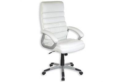 Fauteuil Bureau Idimex Fauteuil De Bureau Blanc Avec Accoudoirs Darty Fauteuil Bureau Idimex Fauteuil De Bureau Blanc Avec Accoudoirs Darty