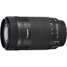 Canon objectif ef-s 55-250mm f/4-5,6 is stm noir