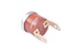 Thermistance - CHAFFOTEAUX : 61314955 Thermistance - CHAFFOTEAUX : 61314955